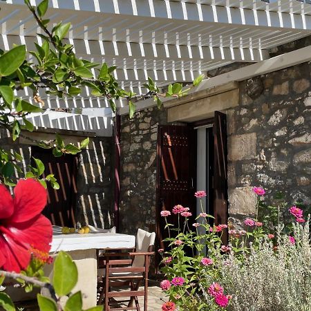 Villa La Familia Maison Traditionnelle بلاكاس المظهر الخارجي الصورة