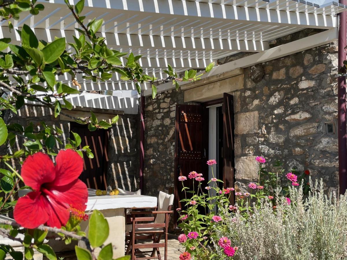 Villa La Familia Maison Traditionnelle بلاكاس المظهر الخارجي الصورة