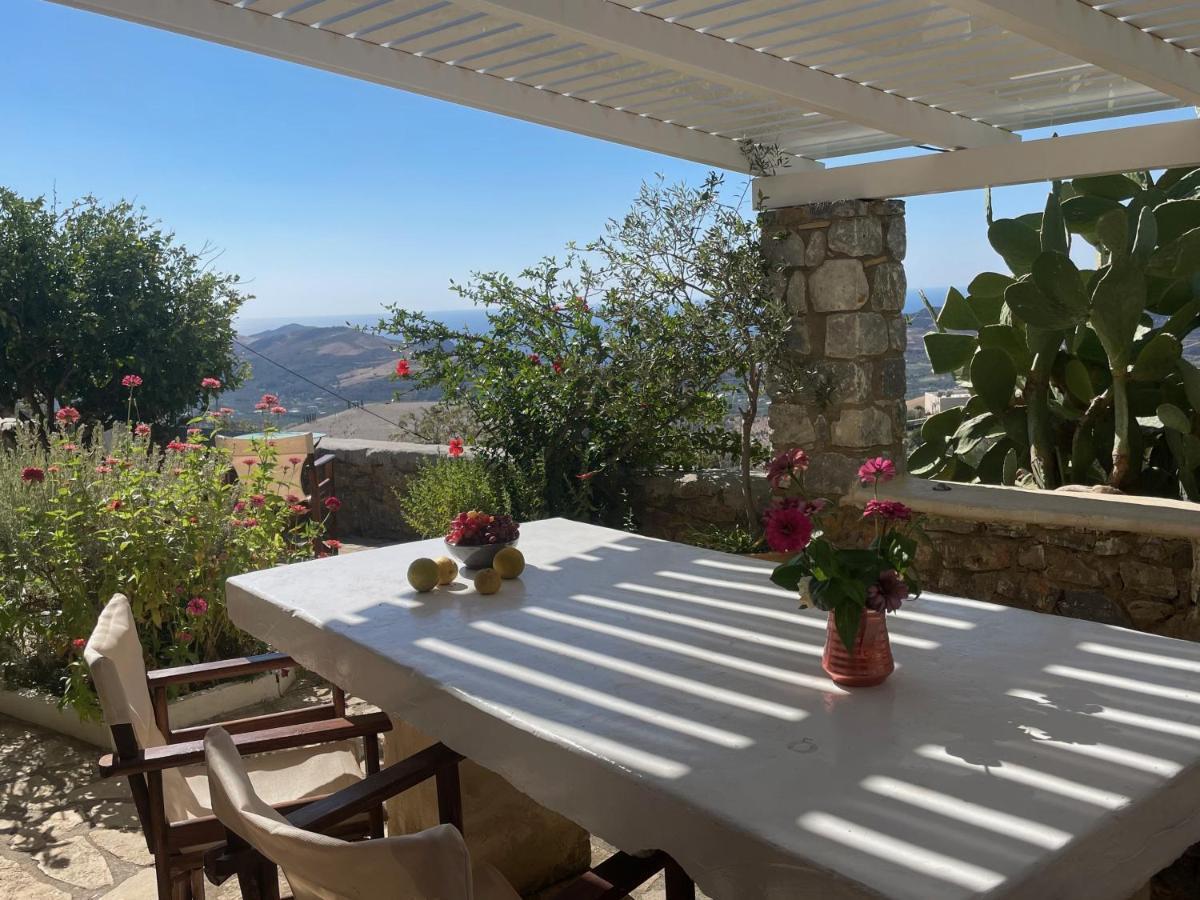Villa La Familia Maison Traditionnelle بلاكاس المظهر الخارجي الصورة