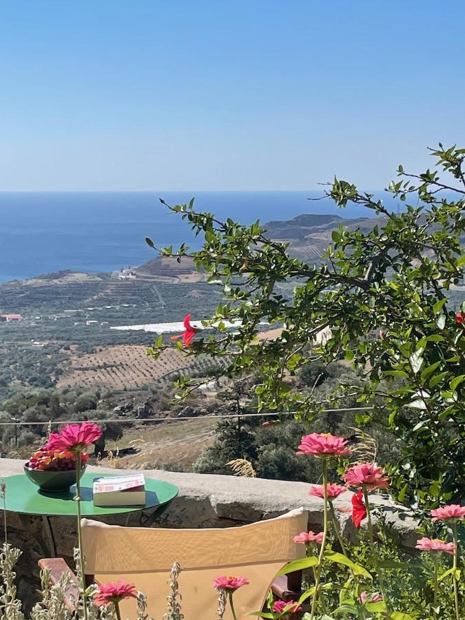 Villa La Familia Maison Traditionnelle بلاكاس المظهر الخارجي الصورة