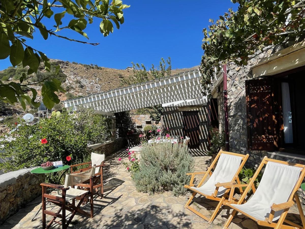 Villa La Familia Maison Traditionnelle بلاكاس المظهر الخارجي الصورة